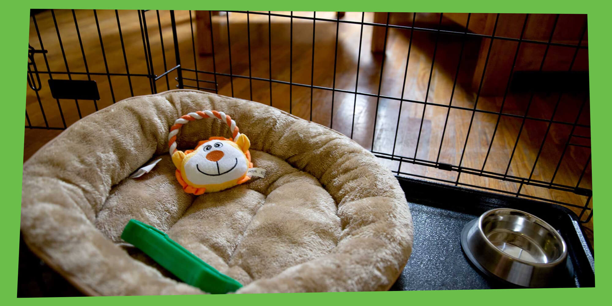 A Pet Bed at One of PALS Domestic Violence Shelters